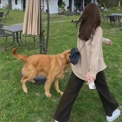 裸体哈维闯人生